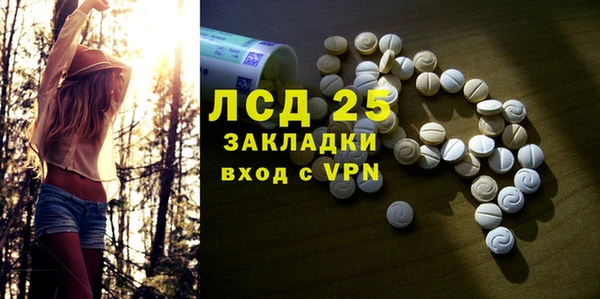 шишки Алексин