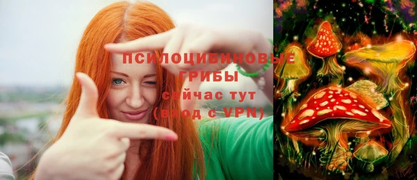 соль курить ск Алексеевка