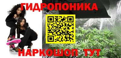 скорость Аргун