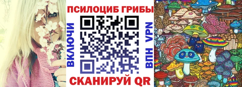 цена наркотик  Волгоград  Галлюциногенные грибы Psilocybe 
