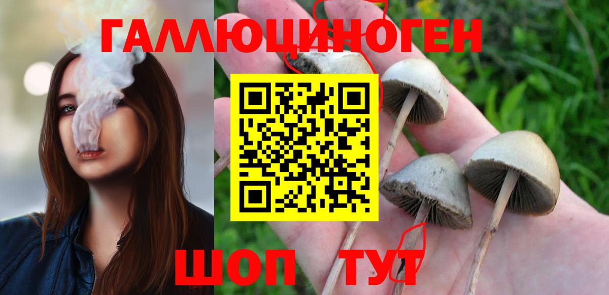 наркота  Галлюциногенные грибы Psilocybe  Вход с VPN  Волгоград 